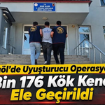 Bingöl’de Uyuşturucu Operasyonu: 5 Bin 176 Kök Kenevir Ele Geçirildi