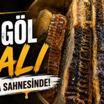 Bingöl Balı Dünya Sahnesinde!