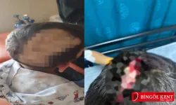 Solhan'da başıboş köpek dehşeti!