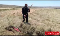 “Karlıova’da Tarlada Çalışacak Adam Yok”