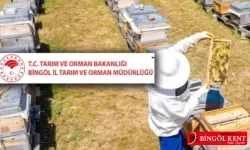 Organik Kovan Alımı Yapılacak