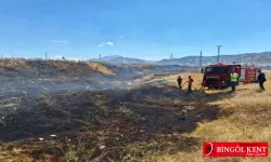 Anız yangını büyümeden söndürüldü