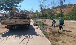 Bingöl Belediyesinden Park Ve Onarım Çalışması