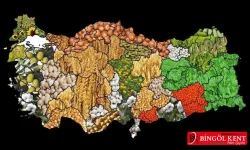 Bingöl’de desteklenecek ürünler açıklandı