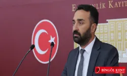 Hülakü: Silajlık mısır eken çiftçiler mağdur ediliyor