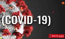 Sağlık Bakanı Koca: "Eski günlere dönüş söz konusu değil"