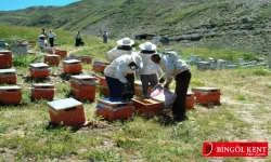 Bal Şurası programı belli oldu