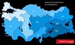 Bebek ölüm hızı Doğu ve Güneydoğu bölgelerinde daha yüksek