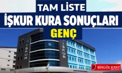 Bingöl-Genç TYP kura sonuçları açıklandı