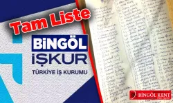 Bingöl TYP kura sonuçları açıklandı