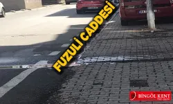 Bingöl’de asfalt, kaldırım seviyesini geçti