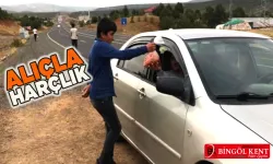 Bingöllü çocuklar 'alıç' satarak okul harçlıklarını çıkarıyor