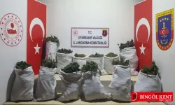 Diyarbakır’da 240 kilo esrar ele geçirildi