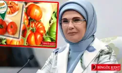 Emine Erdoğan’dan ‘Guldar Domatesi’ paylaşımı 