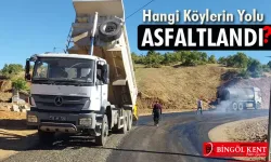 GENÇ'İN 4 KÖYÜNE ASFALT