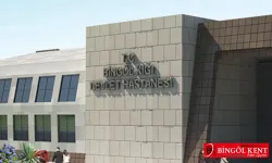 Kiğı Devlet Hastanesi’nde neden uzman doktor yok?