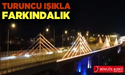 Çapakçur Viyadüğü Turuncu Işıklarla parlıyor