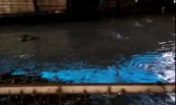 DSİ’nin hatası, vatandaşın ağılına zarar verdi!