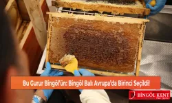 Bu Gurur Bingöl’ün: Bingöl Balı Avrupa’da Birinci Seçildi!