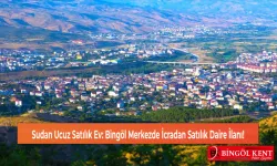 Sudan Ucuz Satılık Ev: Bingöl Merkezde İcradan Satılık Daire İlanı!