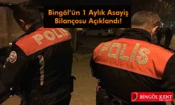 1 Ayda 46 Hırsız Yakalandı!