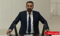 Bingöl'de barajlar ve HES’ler doğaya ciddi zararlar verdi