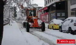 Bingöl'de Kar Kalınlığı Rekor Seviyede! 283 Köy Yolu Ulaşıma Kapandı