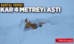 Kuzey Kutbu Değil Bingöl! 4 Metre Kar...