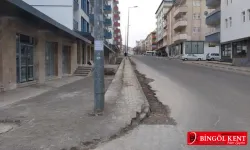 Bingöl'de tek kişilik kaldırım! GÖRÜNTÜLÜ HABER