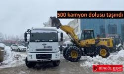 Bingöl'de Yok, Orada Kamyonlarla Taşındı!