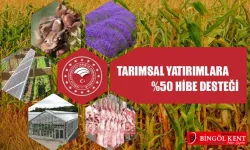 Bingöl'de Yüzde 50 Hibe İçin Başvurular Başladı