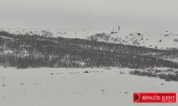 Bingöl’ün O Köyünden 2 Aydır Haber Alınamıyor!