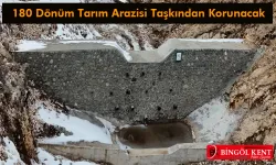 Bingöl'de 180 Dönüm Arazi Sele Karşı Korunacak