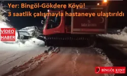 Paletli Ambulansla Karlı Yolları Aşarak Hastaneye Kavuşturdular!