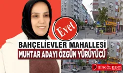 Bingöl’de Eşitlik Mücadelesinin Öncüsü!