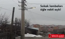 Bingöl'de Öğle Vakti Sokak Lambaları Neden Yanıyor?