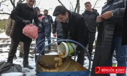 Bingöl'de Yaban Hayvanları Unutulmadı!