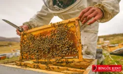 Bingöl’ün Arıcılık ve Bal Kültürü, Kültürel Miras Olarak Kayıt Altına Alındı