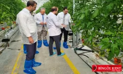 Bingöl'ün Jeotermal Potansiyeli İçin Kütahya ve Afyonkarahisar'daki Seraları İncelediler!