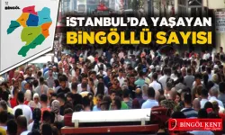 İstanbul’da Kaç Bingöllü Yaşıyor?