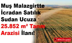 Muş Malazgirtte İcradan Satılık Sudan Ucuza Tarım Arazisi İlanı!