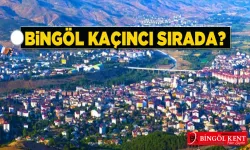 Yaşanılabilir İller Açıklandı! Bingöl Kaçıncı Sırada?