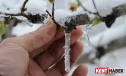 Bingöl, Elazığ, Malatya, Tunceli ve Adıyaman İçin 'Zirai Don' Uyarısı!