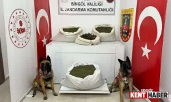 Bingöl ile birlikte 11 ilde uyuşturucu operasyonu: 1 ton 180 kilogram uyuşturucu ele geçirildi