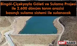 Bingöl'de 2 Bin 600 Dönüm Arazi Suya Kavuşacak!