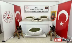 Bingöl'de 57,5 Kg Esrar Ele Geçirildi!