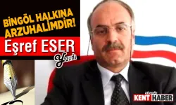 “Hayalimdeki Projeleri Bingöl Halkına Çok Görüp, İdeallerimi Kursağıma Tıkadılar!”