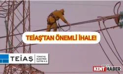 TEİAŞ'tan Önemli İhale! Bingöl-Lice Elektrik İletkeni ve Kule Güçlendirme Projesi!