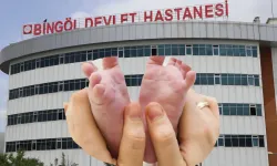 Bingöl'de 606 Bebek Dünyaya Geldi