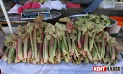 Işkın, Tezgahlarda Yerini Aldı